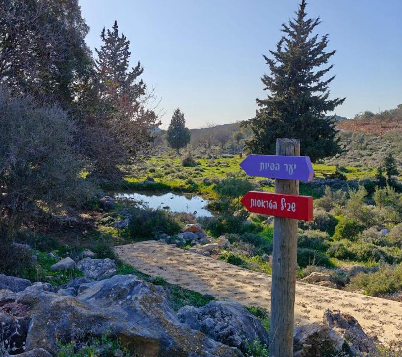 Photo of Others in Kfar Vradim