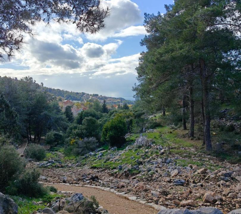 Photo of Others in Kfar Vradim