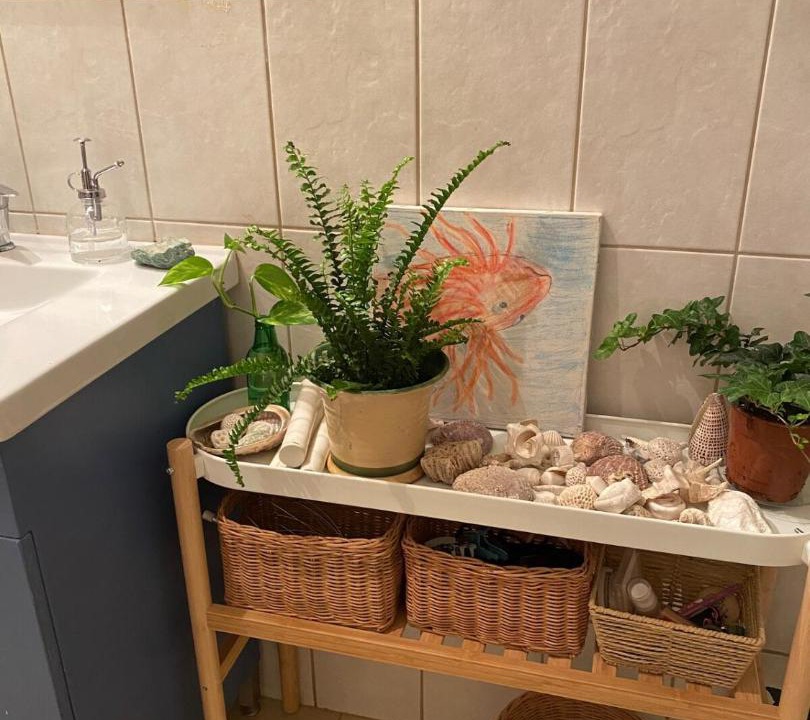 Photo of Bathroom in Snir