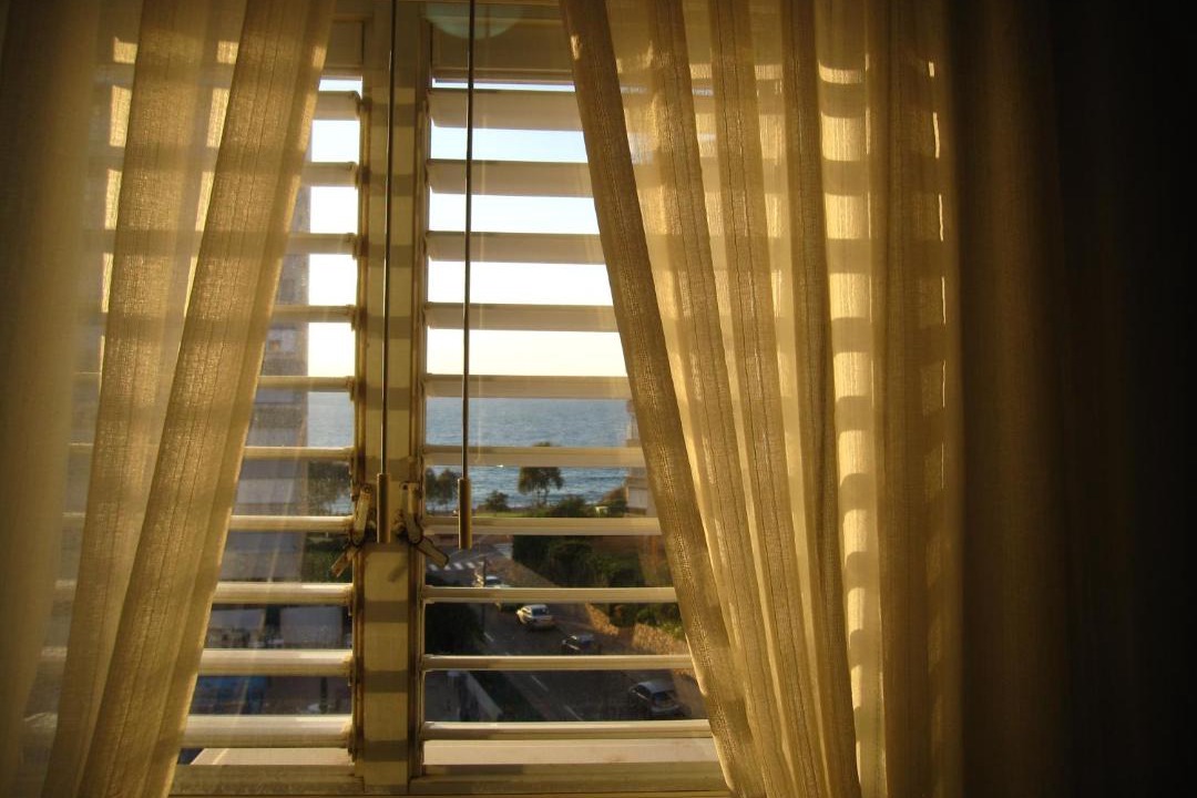 Photo of Others in Netanya