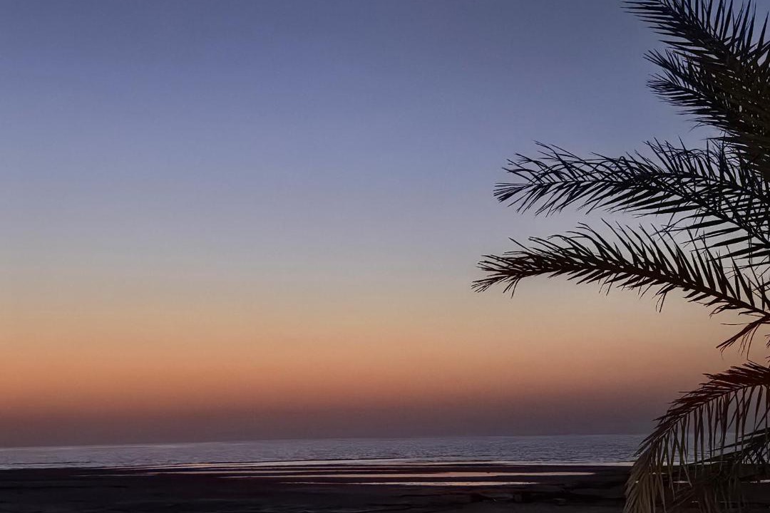 Photo of Others in United Arab Emirates