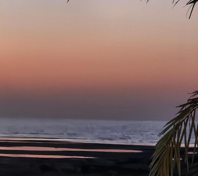 Photo of Others in United Arab Emirates