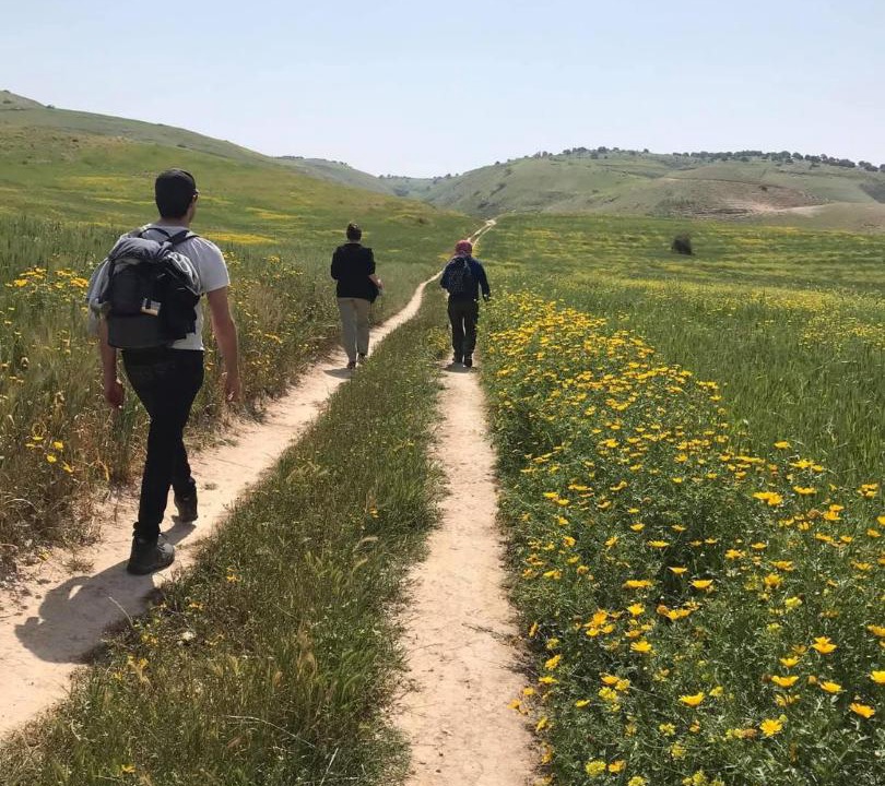 Photo of Others in Umm Qais