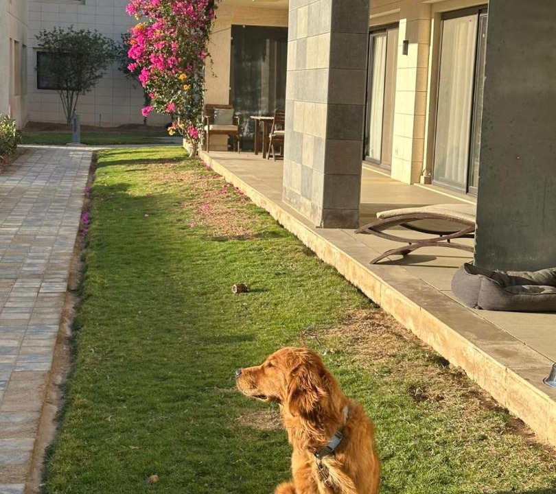 Photo of Others in El Gouna