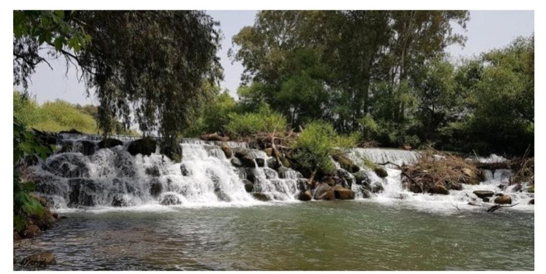 Photo of Others in Kfar Blum