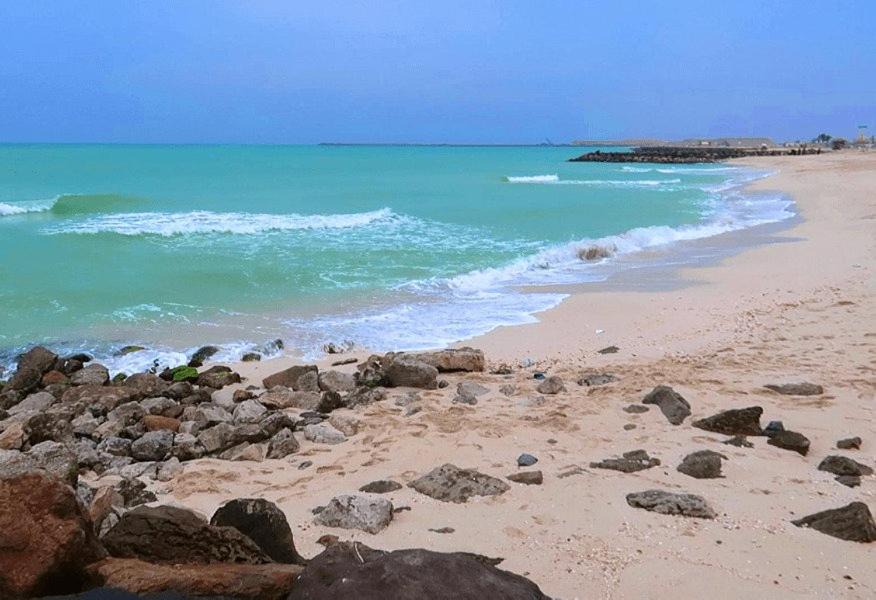 Photo of Others in Ajman