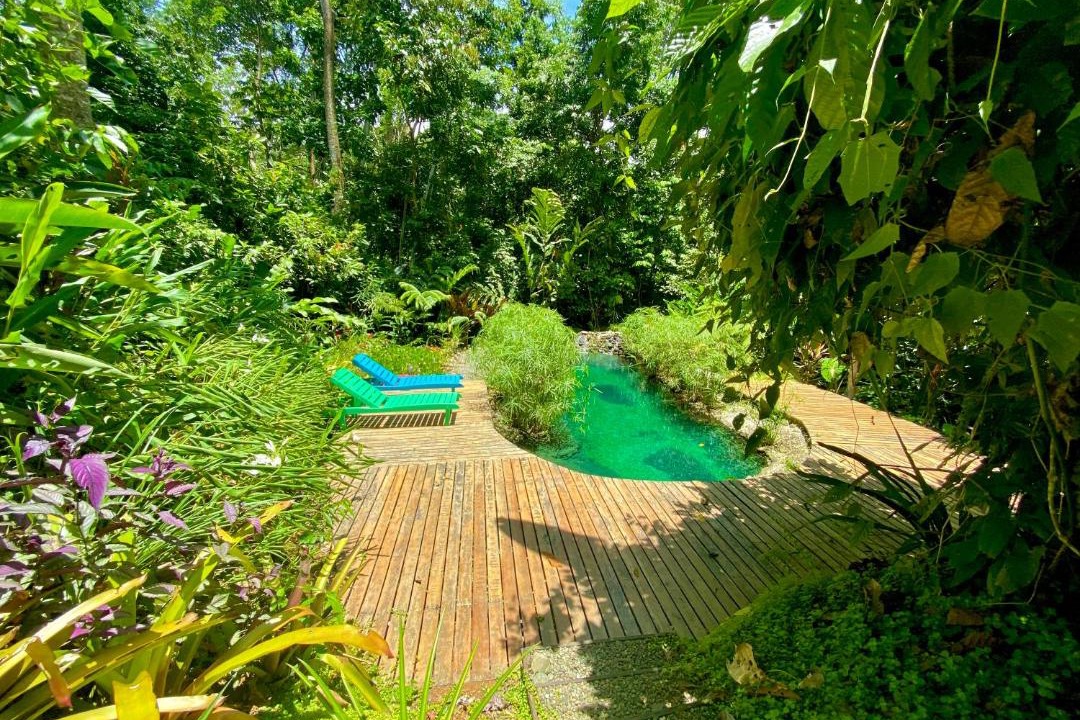 Photo of Others in Cahuita