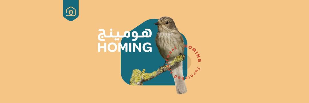 Photo of Others in Salalah