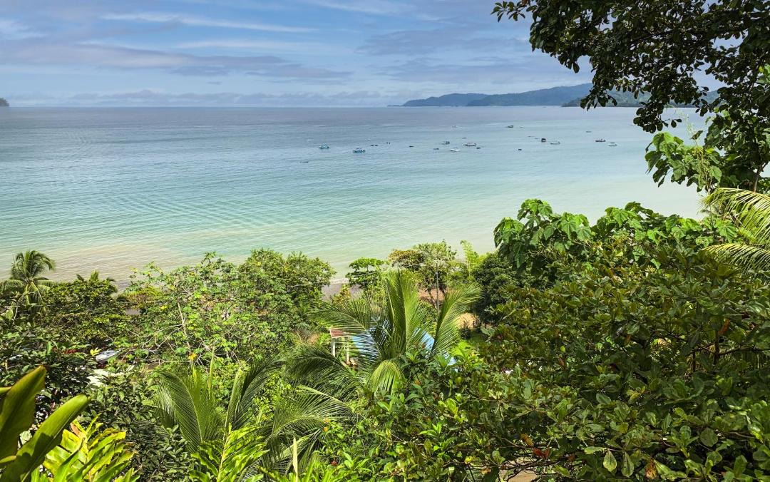 Photo of Others in Drake Bay