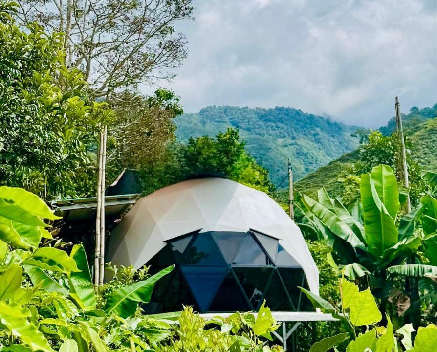 Photo of Outdoor in Paramo