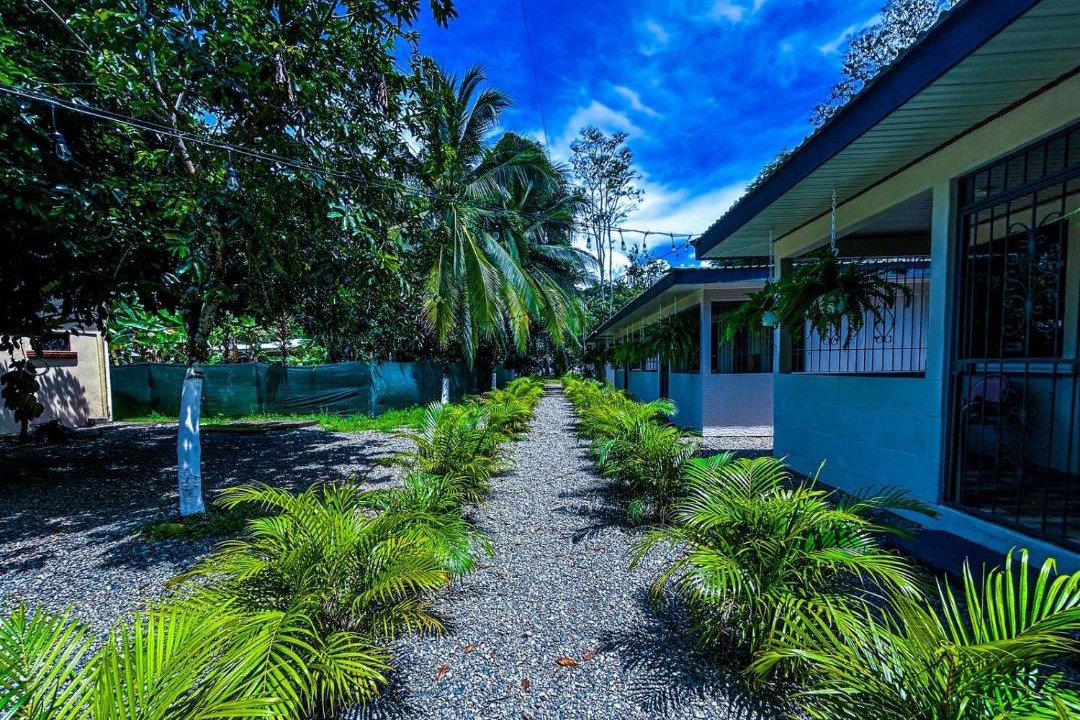 Photo of Others in Puerto Viejo de Talamanca