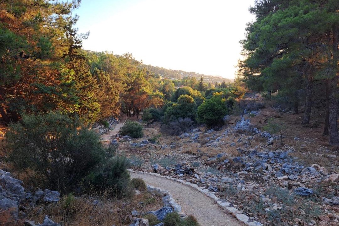 Photo of Others in Kfar Vradim