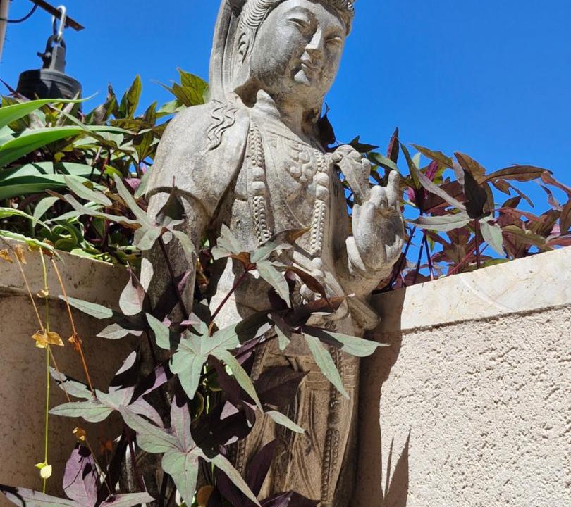 Photo of Others in Jaffa