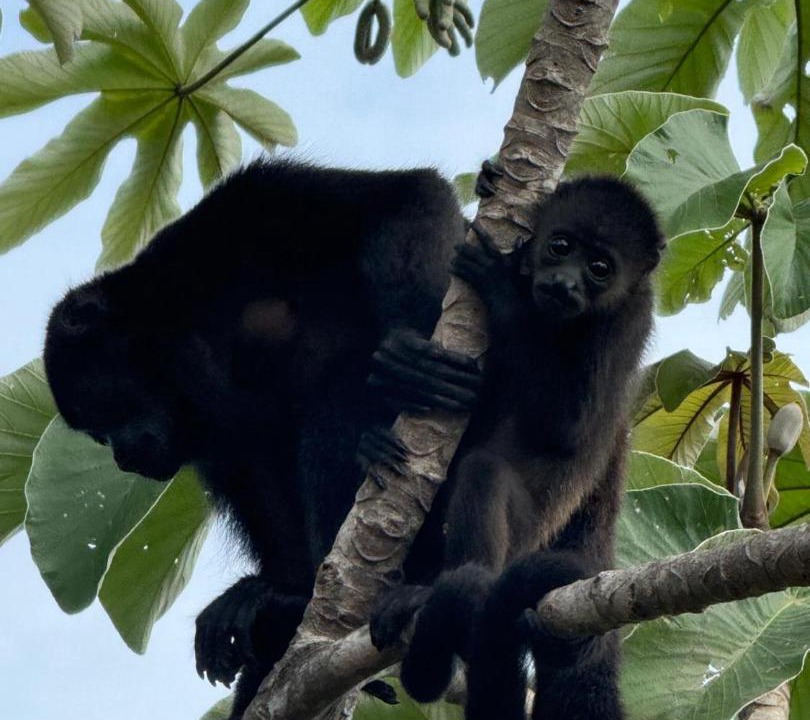 Photo of Others in Papagayo Peninsula