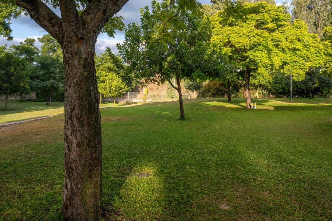 Photo of Others in Kfar Masaryk