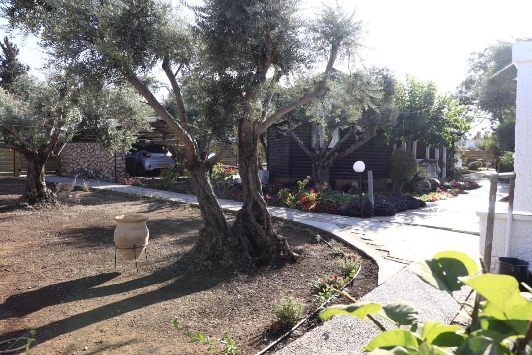 Photo of Others in Ramot Naftali