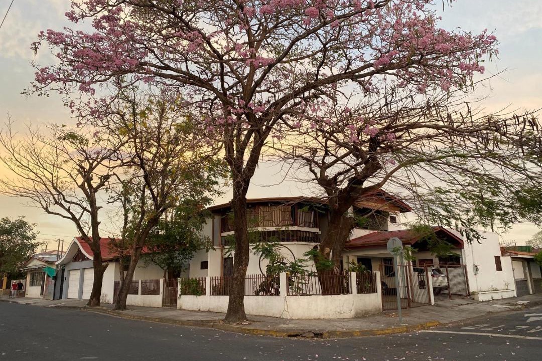 Photo of Others in Los Cerros