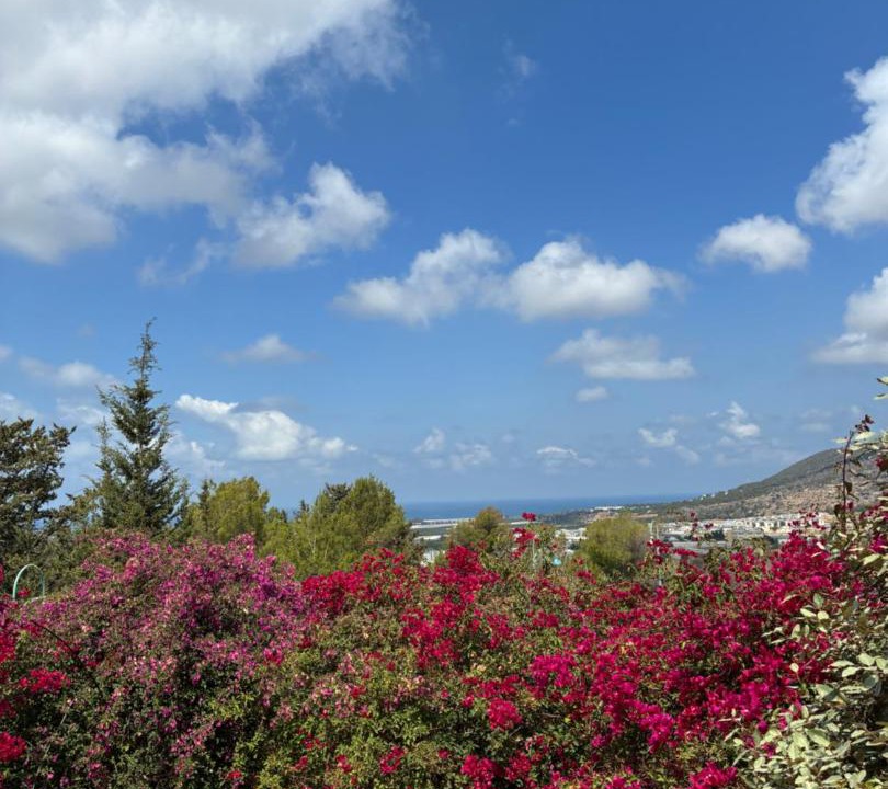Photo of Others in Shlomi