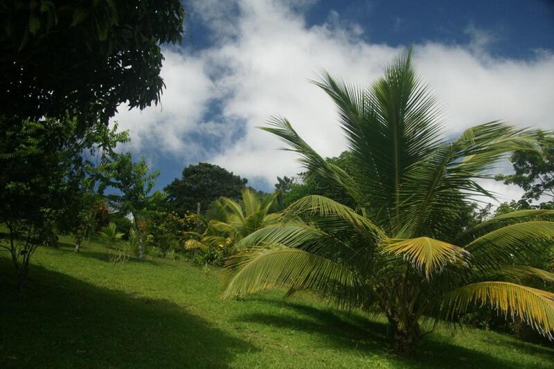 Photo of Others in Tierras Morenas