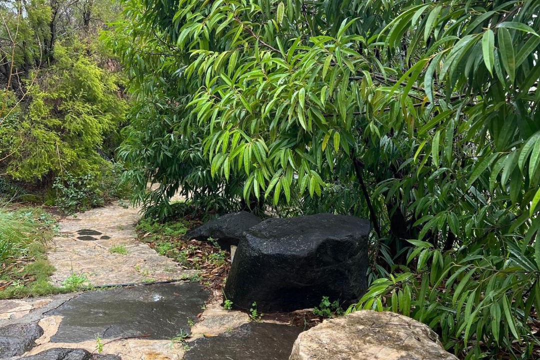 Photo of Outdoor in Ma'ale Gamla