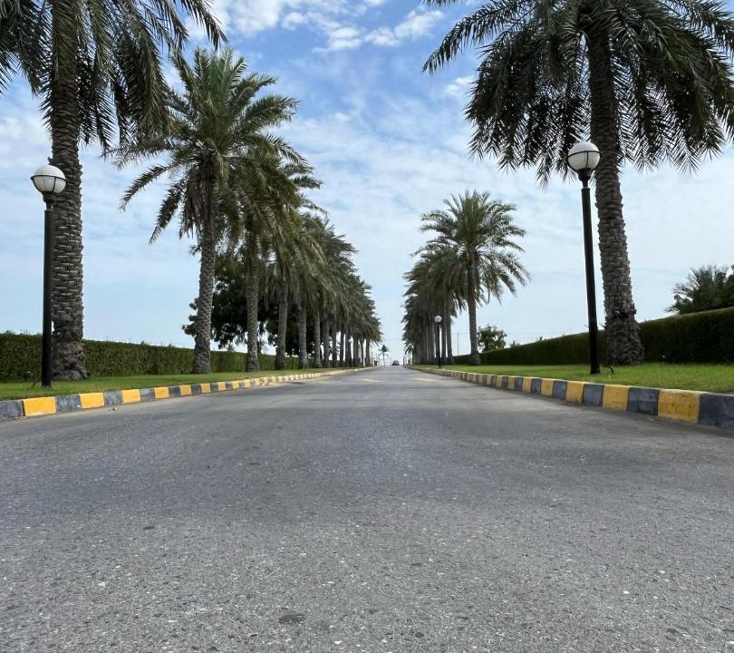 Photo of Others in Suwadi al Batha