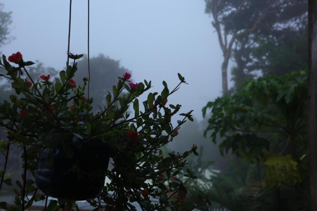 Photo of Others in Monteverde