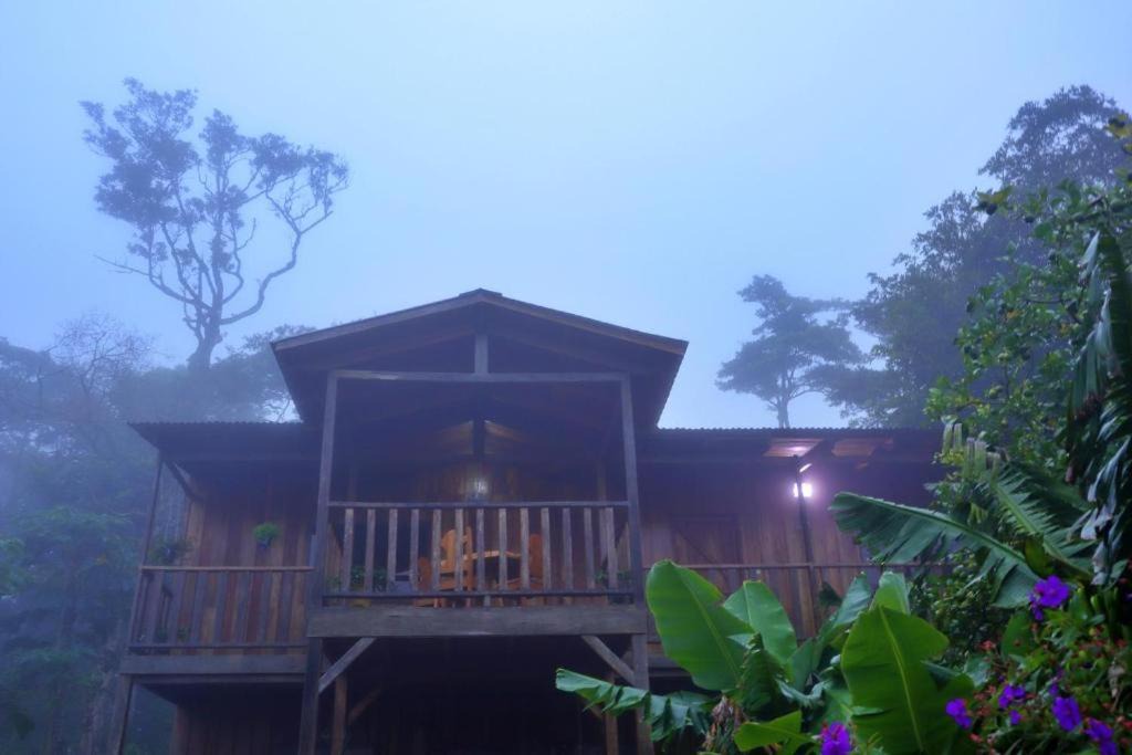 Photo of Others in Monteverde