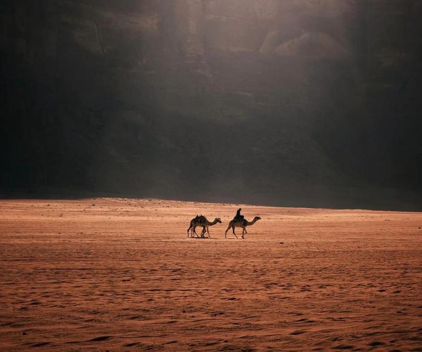 Photo of Human In Picture in Wadi Rum