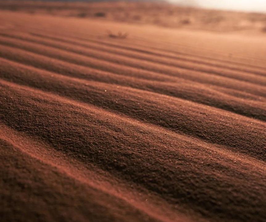 Photo of Human In Picture in Wadi Rum