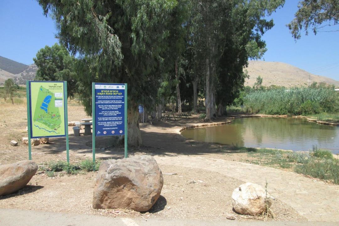 Photo of Others in Gilboa