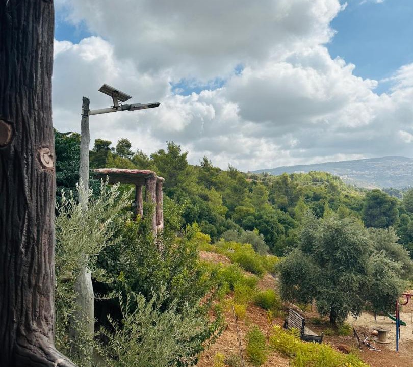 Photo of Others in Ajloun