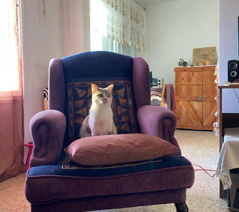 Photo of Livingroom in Mitzpe Ramon