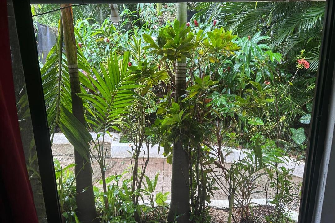 Photo of Patio Balcony in Tamarindo