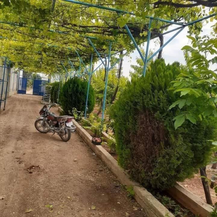 Photo of Outdoor in Gesher