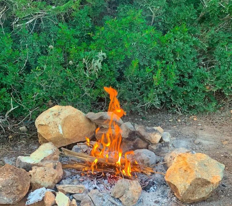 Photo of Others in Wadi Musa