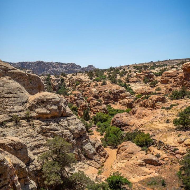 Photo of Others in Tafilah Governorate