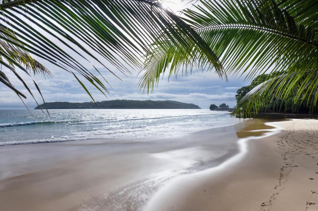 Photo of Others in Playa Naranjo