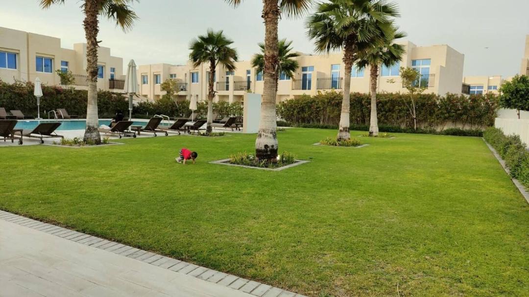 Photo of Others in Dubai