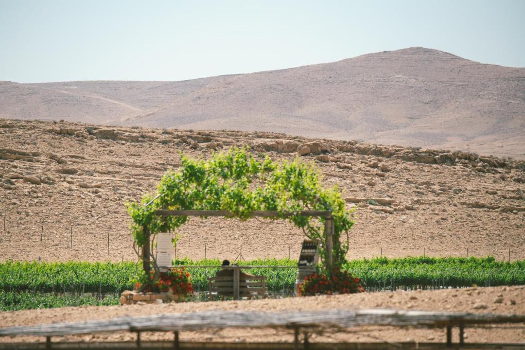 Photo of Others in Mitzpe Ramon