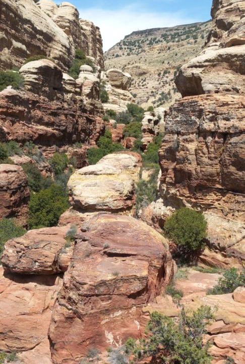 Photo of Others in Dana