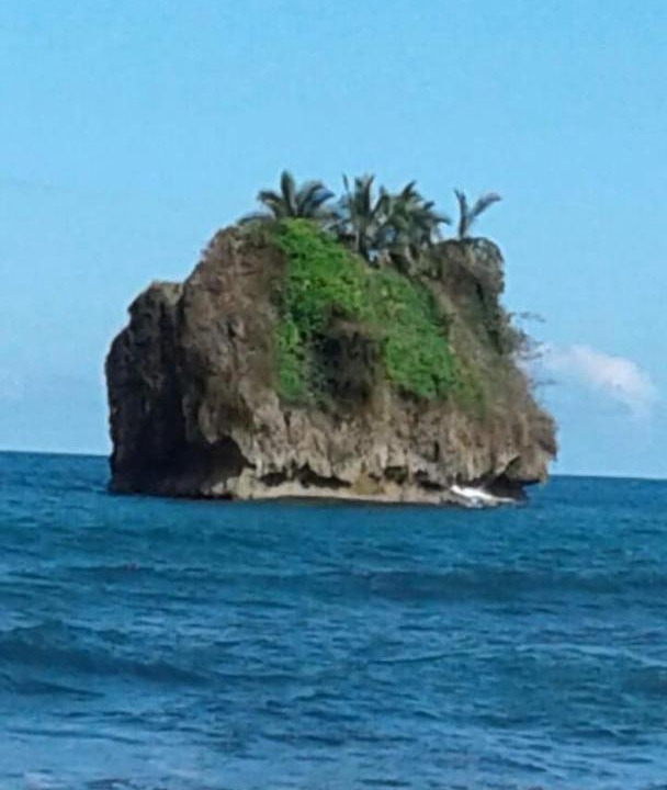 Photo of Others in Puerto Viejo de Talamanca