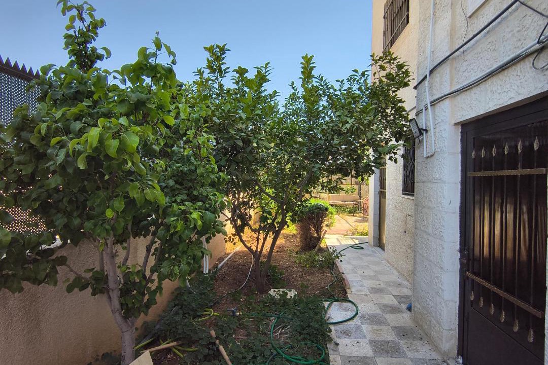 Photo of Others in Amman