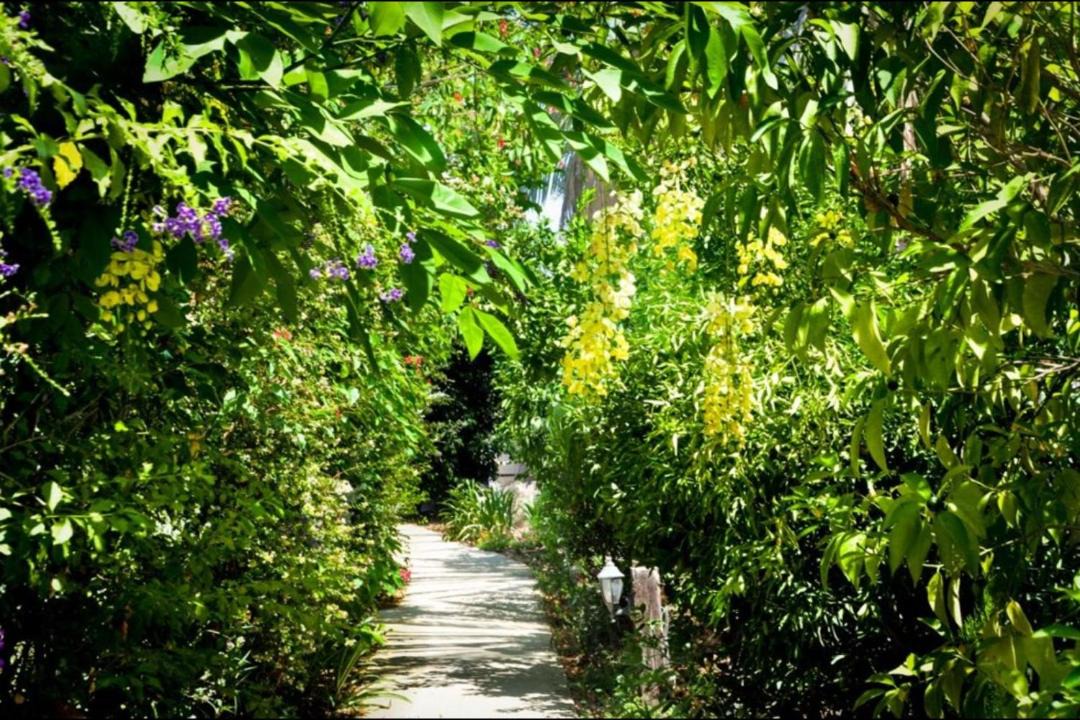 Photo of Outdoor in Ramot