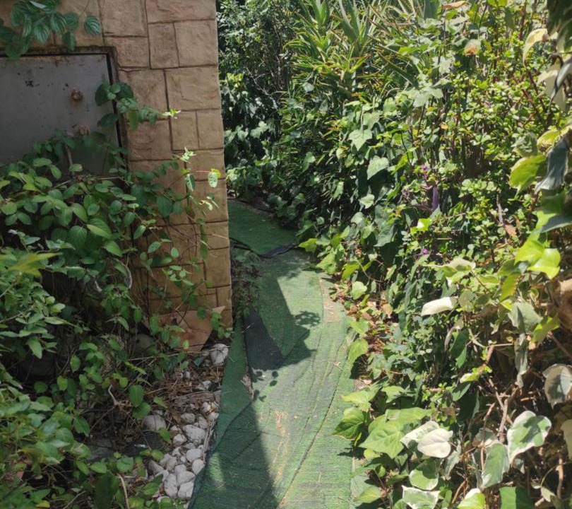 Photo of Others in Ramat Negev