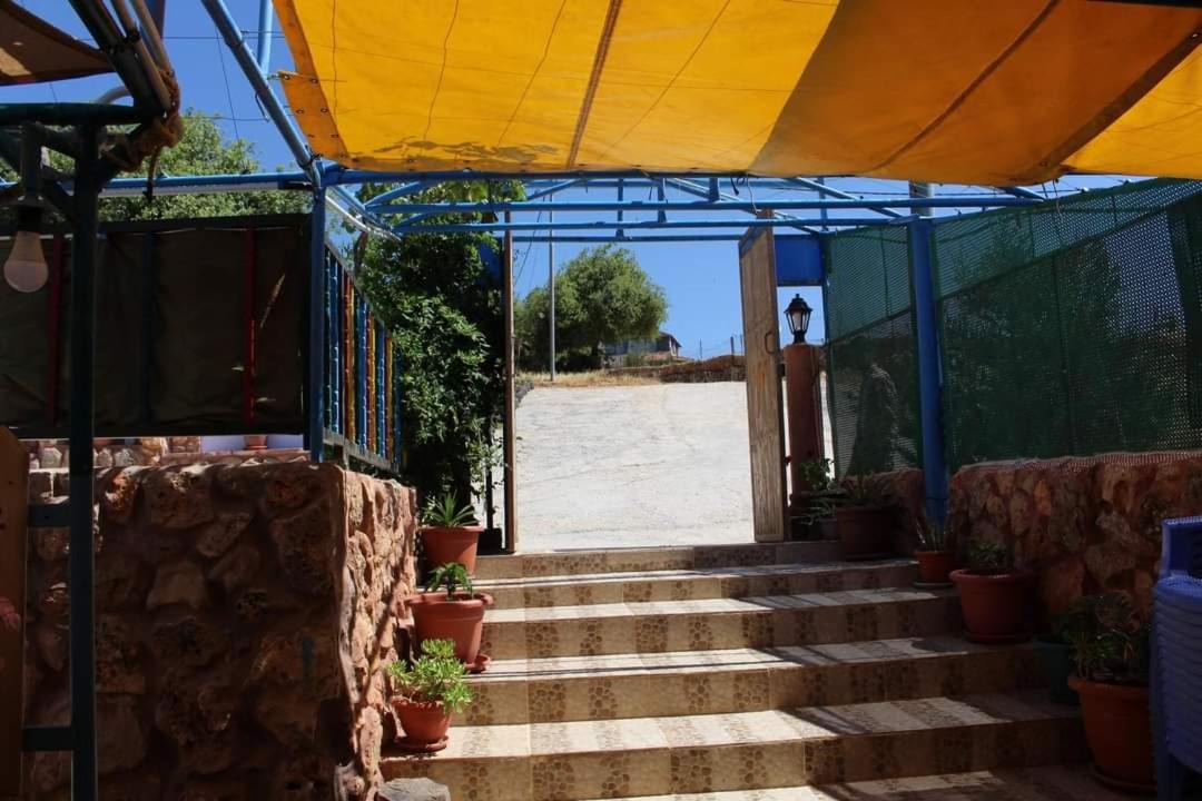 Photo of Others in Ajloun