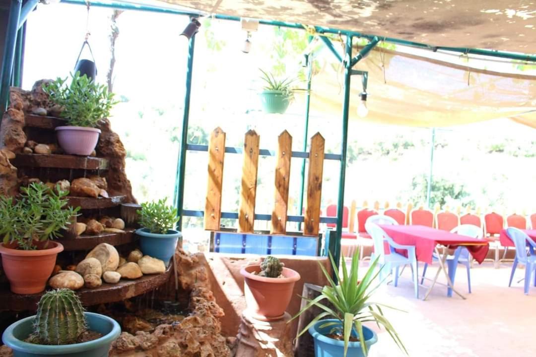 Photo of Others in Ajloun