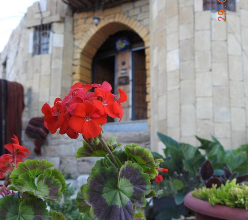 Photo of Others in Dana