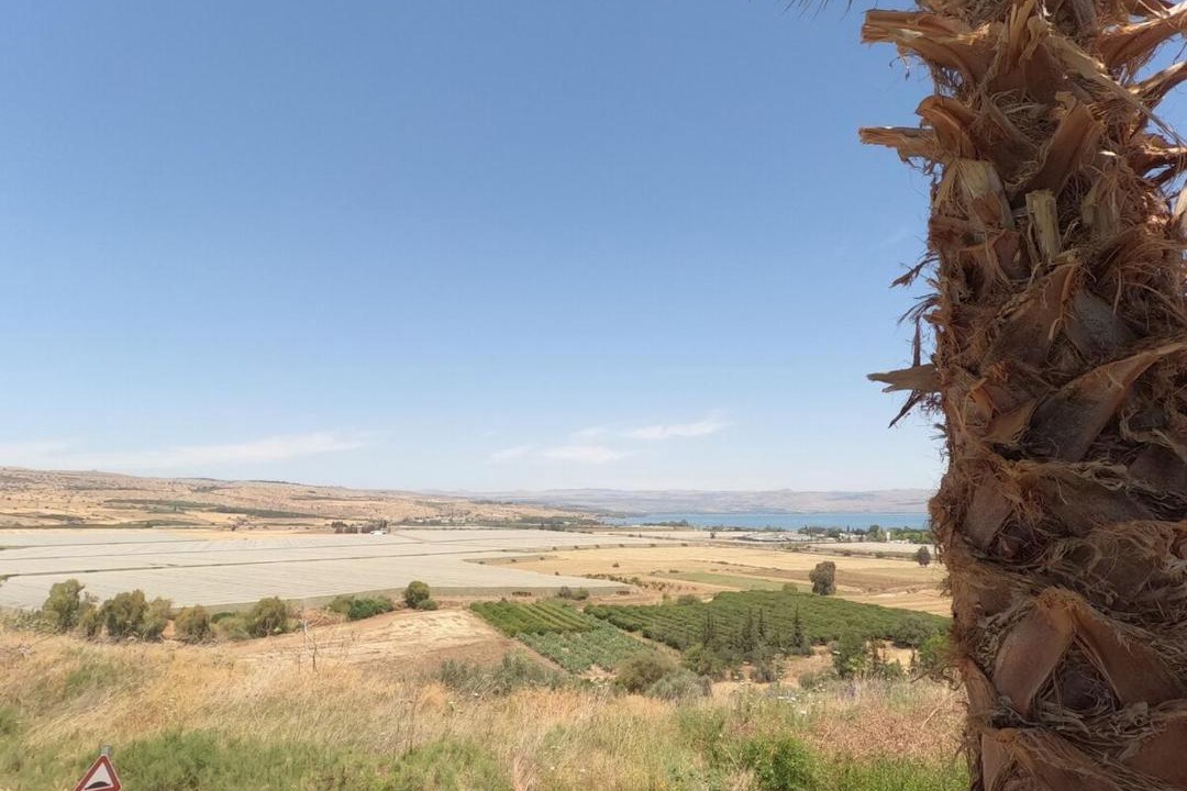 Photo of Others in Migdal