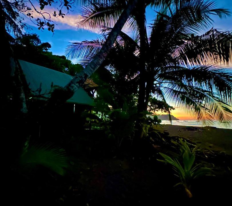 Photo of Others in Drake Bay
