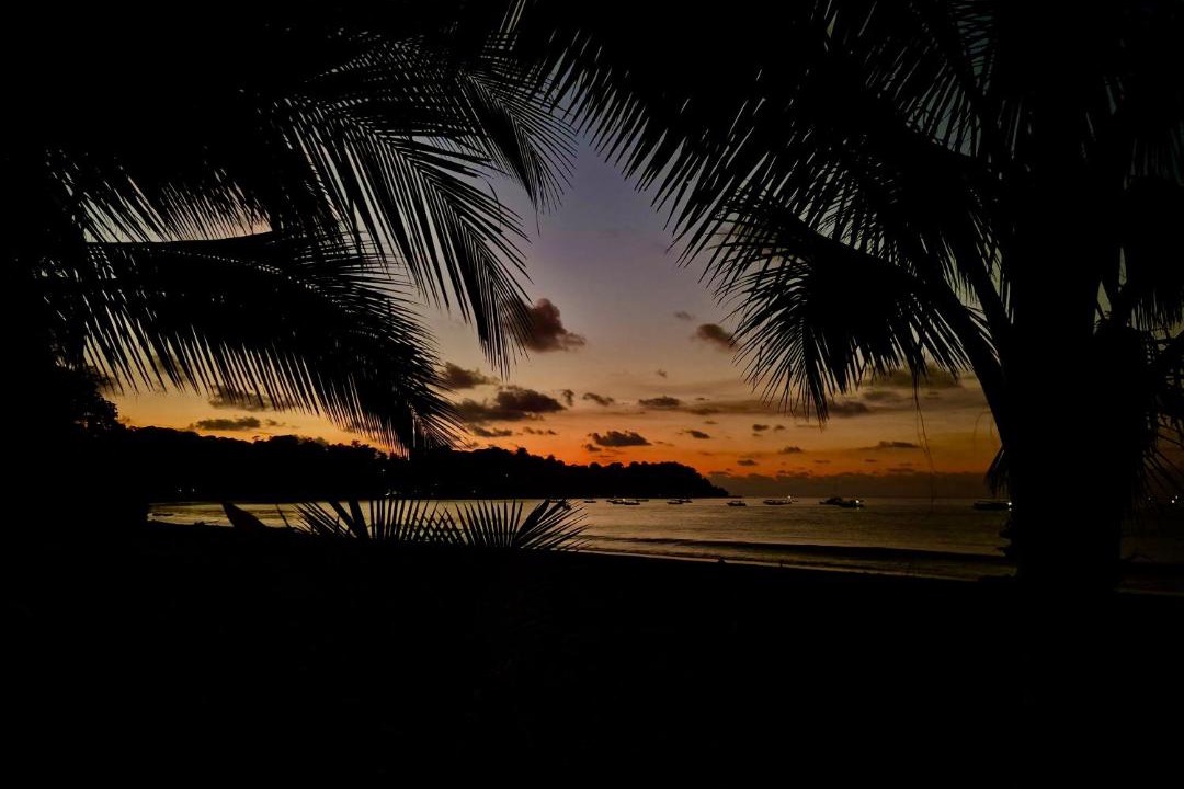 Photo of Others in Drake Bay
